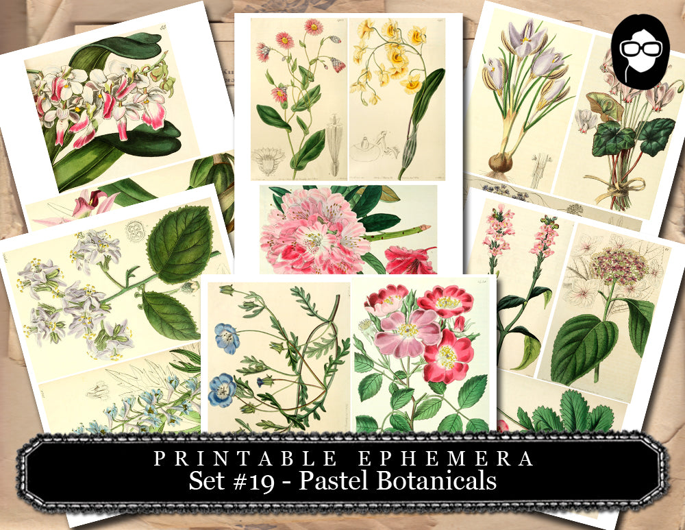 Ephemera Pack - Printable Ephemera Set # 19 - Pastel Botanicals - 30 Page Instant Download, journaling kit, journal cards, journaling card