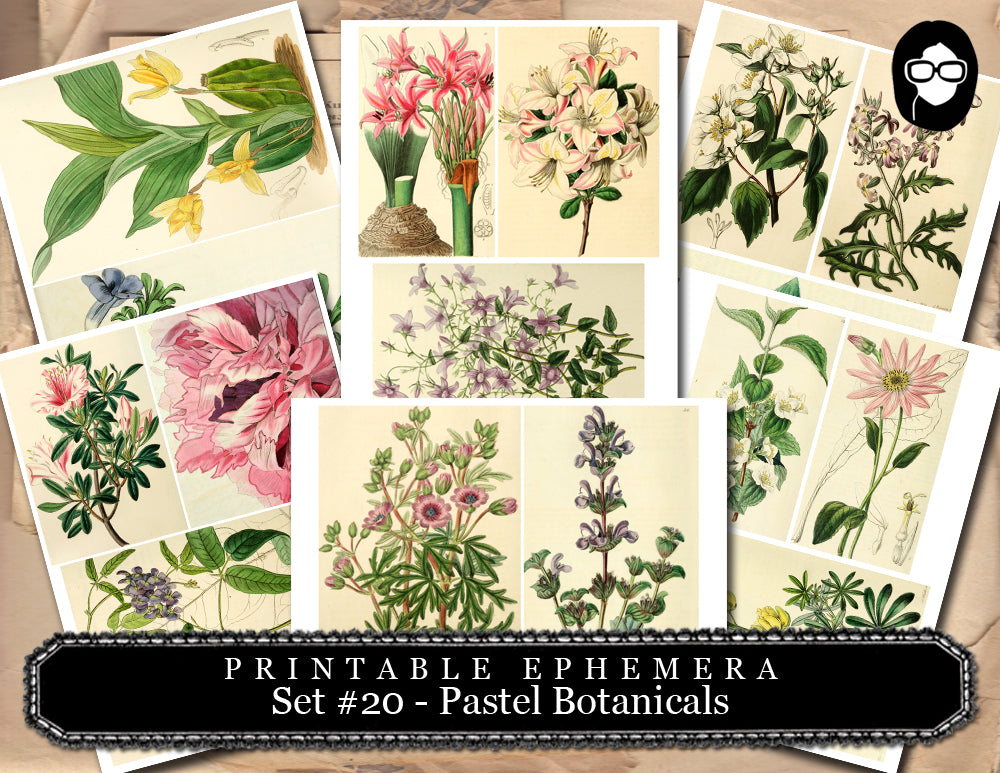 Junk Journal Kit - Printable Ephemera Set #20 - Pastel Botanicals - 30 Page Instant Download, ephemera pack, journal cards, journaling card