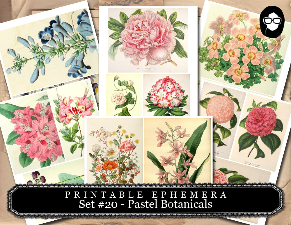 Junk Journal Kit - Printable Ephemera Set #20 - Pastel Botanicals - 30 Page Instant Download, ephemera pack, journal cards, journaling card