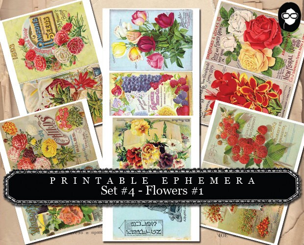 Blank Journal Cards - Set #4 Flowers #1 - 30 Pg Instant Download - digital collage, digital journal kits, roses clipart floral, ephemera kit
