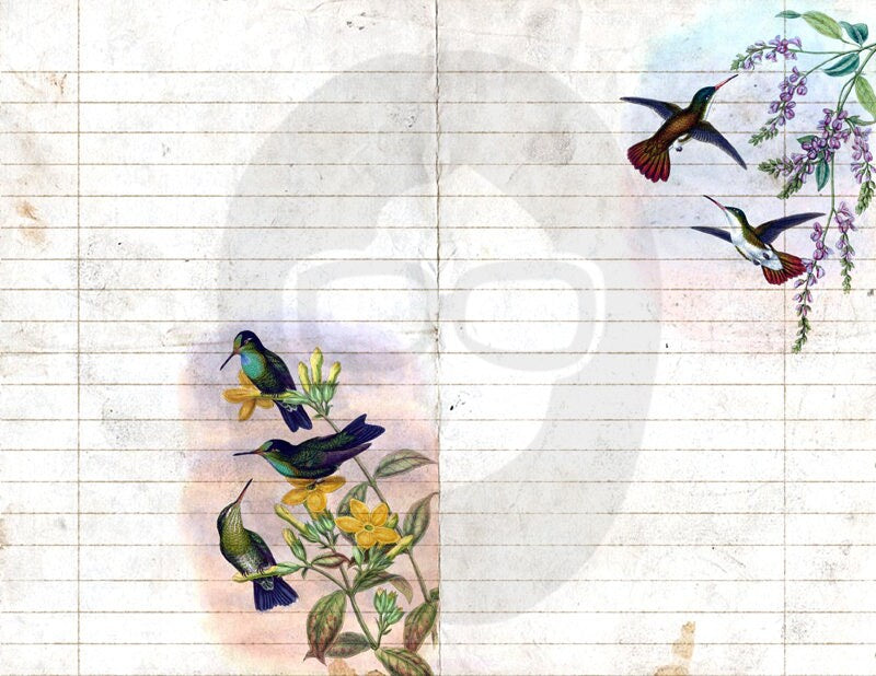 Floral Digital Paper - Hummingbirds Set #2 - 3 Pg Instant Downloads - rose digital paper, digital paper pack, best digital paper