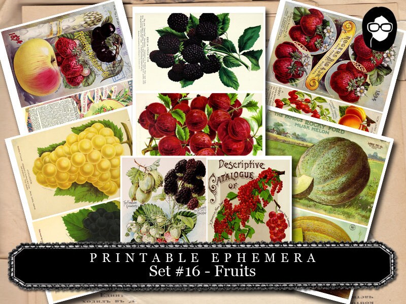 Ephemera Paper Pack - Printable Ephemera Set #16 - Fruit Art - 30 Pg Instant Download - blank journal cards, digital journal kits, fruit