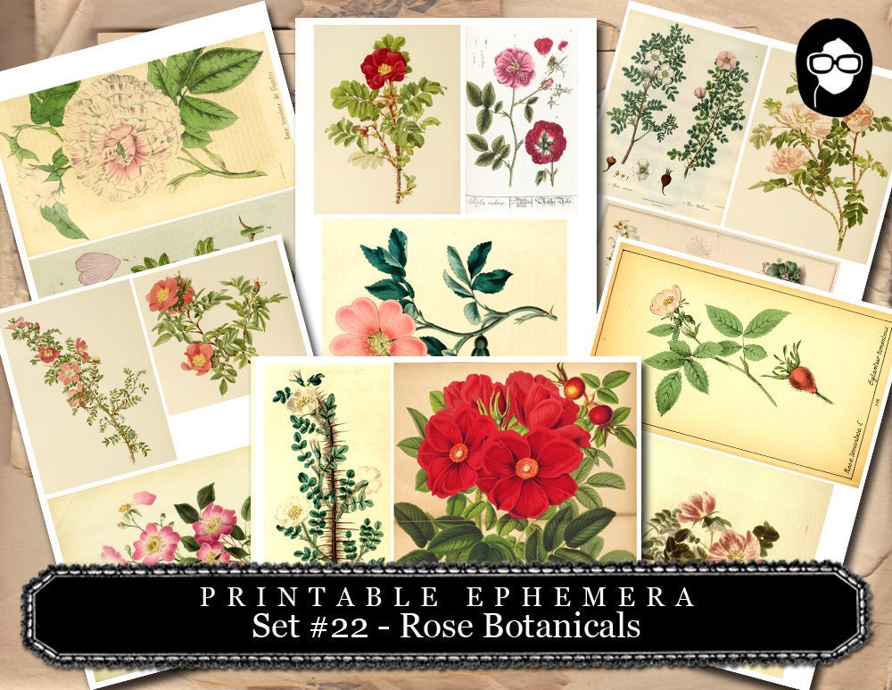 Ephemera Pack - Printable Ephemera Botanical Roses Set #22 - 30 Page Instant Download - junk journal kit, journal cards, ephemera paper pack