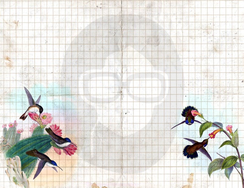 Floral Digital Paper - Hummingbirds Set #2 - 3 Pg Instant Downloads - rose digital paper, digital paper pack, best digital paper