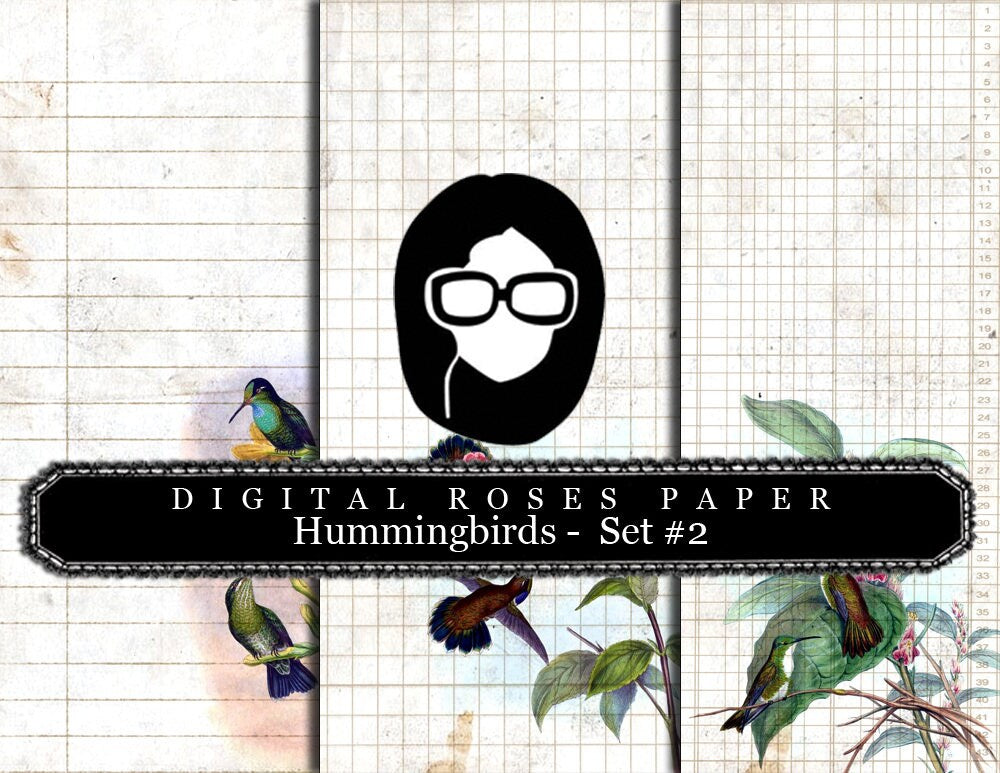 Floral Digital Paper - Hummingbirds Set #2 - 3 Pg Instant Downloads - rose digital paper, digital paper pack, best digital paper