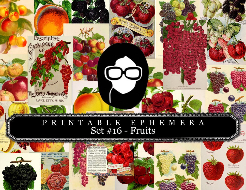 Ephemera Paper Pack - Printable Ephemera Set #16 - Fruit Art - 30 Pg Instant Download - blank journal cards, digital journal kits, fruit