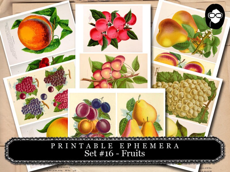 Ephemera Paper Pack - Printable Ephemera Set #16 - Fruit Art - 30 Pg Instant Download - blank journal cards, digital journal kits, fruit