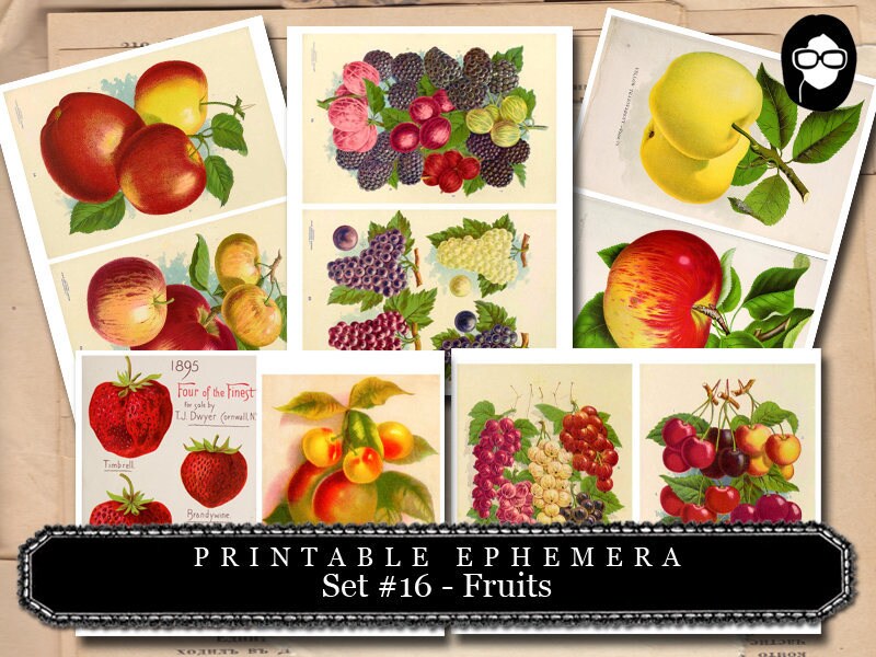 Ephemera Paper Pack - Printable Ephemera Set #16 - Fruit Art - 30 Pg Instant Download - blank journal cards, digital journal kits, fruit