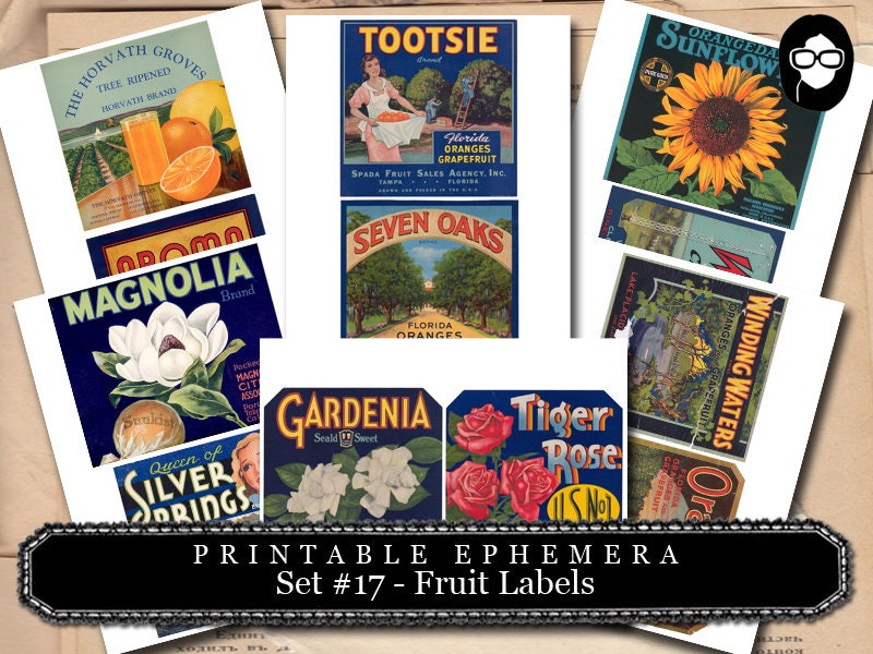 Ephemera Pack - Printable Ephemera Set #17 - Fruit Labels - 25 Page Instant Download - junk journal kit, fruit art, ephemera paper pack