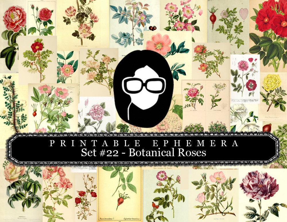 Ephemera Pack - Printable Ephemera Botanical Roses Set #22 - 30 Page Instant Download - junk journal kit, journal cards, ephemera paper pack