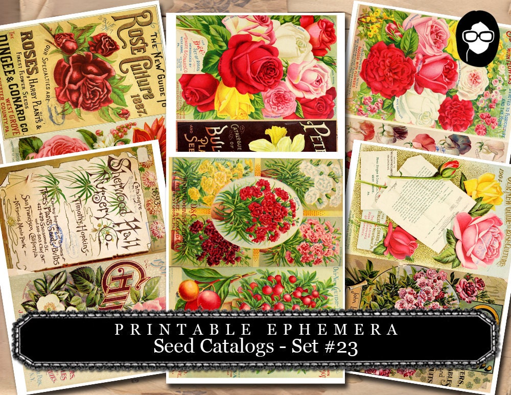 Ephemera Paper Pack - Printable Ephemera Set # 23 - Seed Catalogs - 30 Pg Instant Download - blank journal cards, roses clipart floral