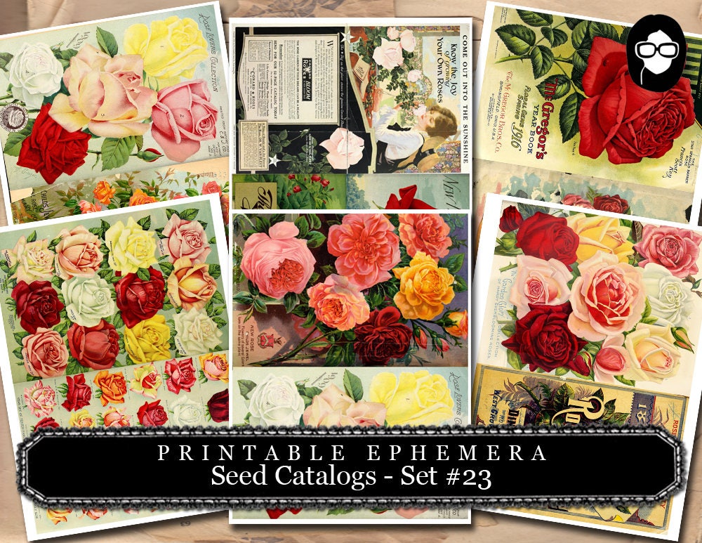 Ephemera Paper Pack - Printable Ephemera Set # 23 - Seed Catalogs - 30 Pg Instant Download - blank journal cards, roses clipart floral