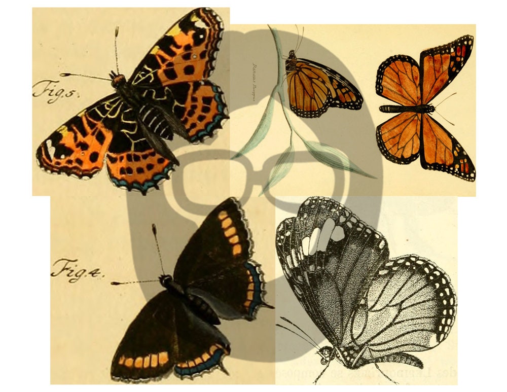 Butterfly Ephemera Pack - Printable Ephemera Set #38 - 30 Page Instant Download - junk journal kit, fruit art, ephemera paper pack