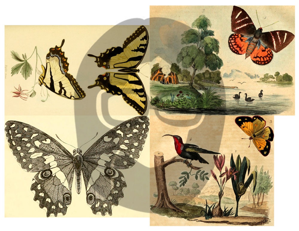 Butterfly Ephemera Pack - Printable Ephemera Set #38 - 30 Page Instant Download - junk journal kit, fruit art, ephemera paper pack