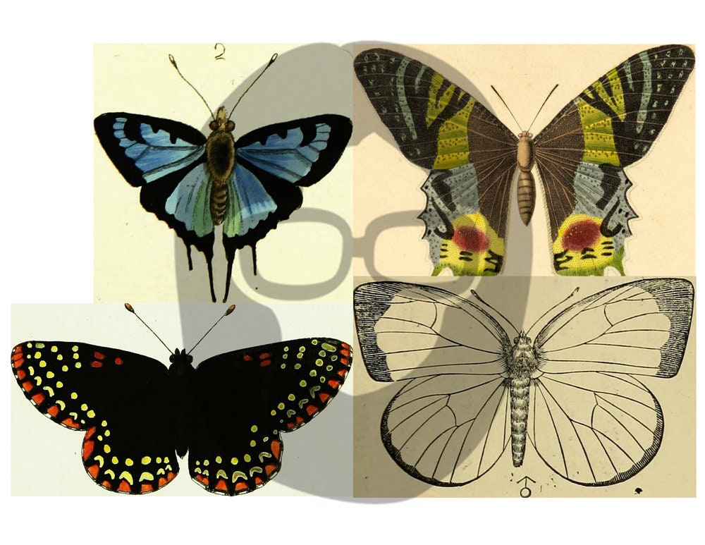 Butterfly Ephemera Pack - Printable Ephemera Set #38 - 30 Page Instant Download - junk journal kit, fruit art, ephemera paper pack