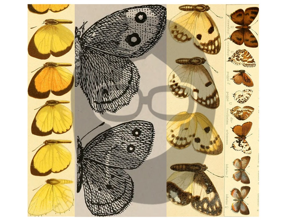 Butterfly Ephemera Pack - Printable Ephemera Set #38 - 30 Page Instant Download - junk journal kit, fruit art, ephemera paper pack