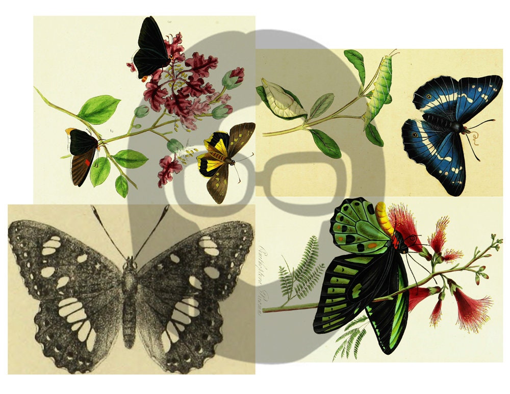 Butterfly Ephemera Pack - Printable Ephemera Set #38 - 30 Page Instant Download - junk journal kit, fruit art, ephemera paper pack