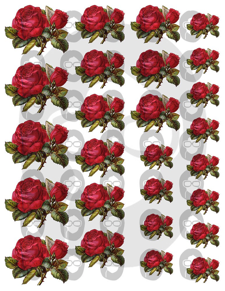 Fussy Cut Roses Vintage Flower Images Set #19 - 8 Page Instant Download - roses clipart floral, pink rose clipart, junk journal scan n cut