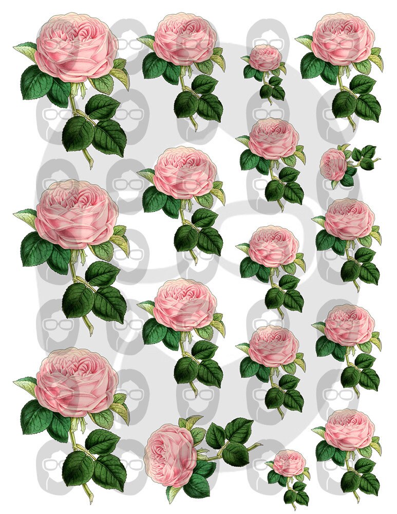 Bouquet Clipart - Decoupage Flowers Set #22 - 8 Page Instant Download - roses clipart floral, pink rose clipart, roses flower clipart