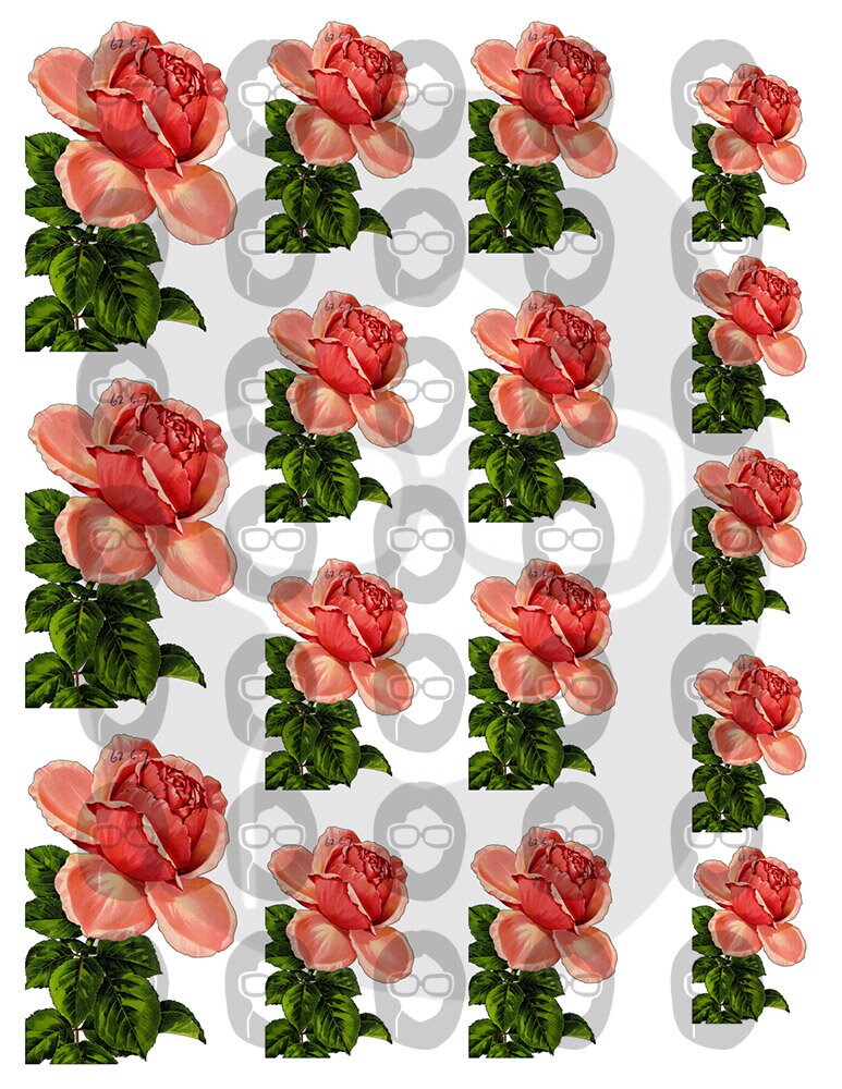 Fussy Cut Flower Images - Set #24 - 7 Page Instant Download - junk journal pink rose clipart, bouquet clipart, roses flower clipart
