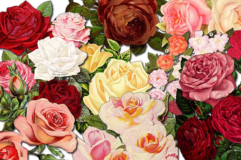 Floral Clipart - Decoupage Flowers Set #17 - 8 Page Instant Download - clipart floral, roses clipart, digital roses