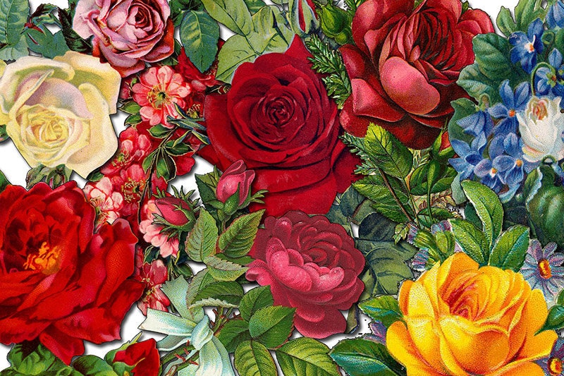 Fussy Cut Flowers Set #18 - 8 Page Instant Download - pink rose clipart, bouquet clipart, roses flower clipart