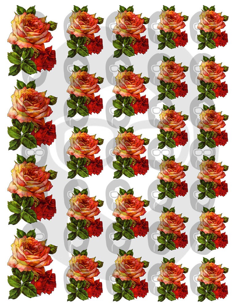 Fussy Cut Roses Vintage Flower Images Set #19 - 8 Page Instant Download - roses clipart floral, pink rose clipart, junk journal scan n cut