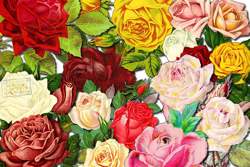 Floral Clipart - Decoupage Flowers Set #21 - 8 Page Instant Download - clipart floral, roses clipart, digital roses
