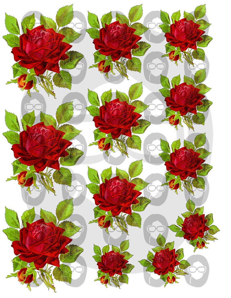 Floral Clipart - Decoupage Flowers Set #21 - 8 Page Instant Download - clipart floral, roses clipart, digital roses