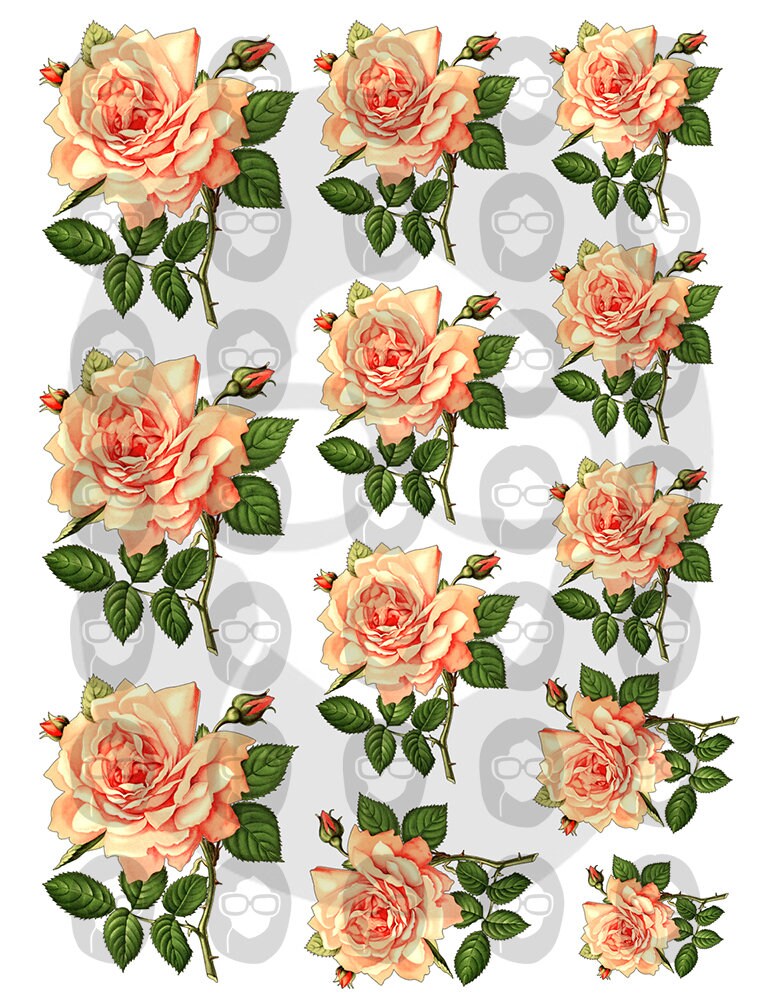 Bouquet Clipart - Decoupage Flowers Set #22 - 8 Page Instant Download - roses clipart floral, pink rose clipart, roses flower clipart
