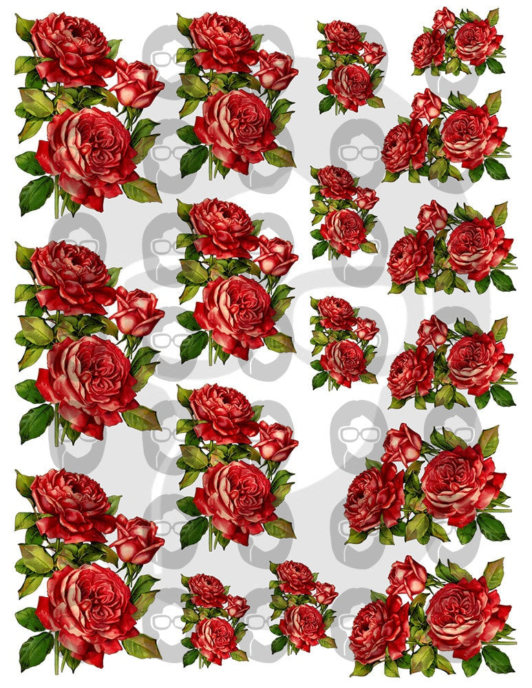 Fussy Cut Flower Images - Set #24 - 7 Page Instant Download - junk journal pink rose clipart, bouquet clipart, roses flower clipart