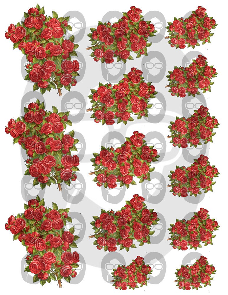 Fussy Cut Flower Images - Set #24 - 7 Page Instant Download - junk journal pink rose clipart, bouquet clipart, roses flower clipart