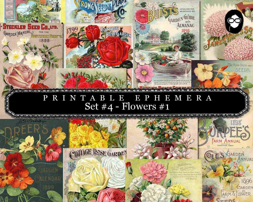 Blank Journal Cards - Set #4 Flowers #1 - 30 Pg Instant Download - digital collage, digital journal kits, roses clipart floral, ephemera kit