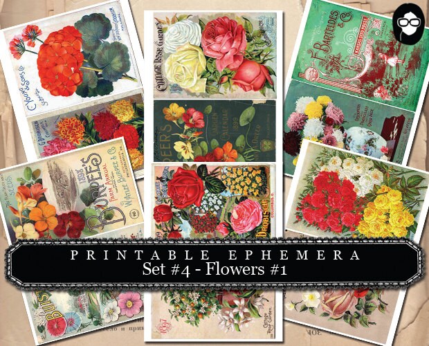 Blank Journal Cards - Set #4 Flowers #1 - 30 Pg Instant Download - digital collage, digital journal kits, roses clipart floral, ephemera kit