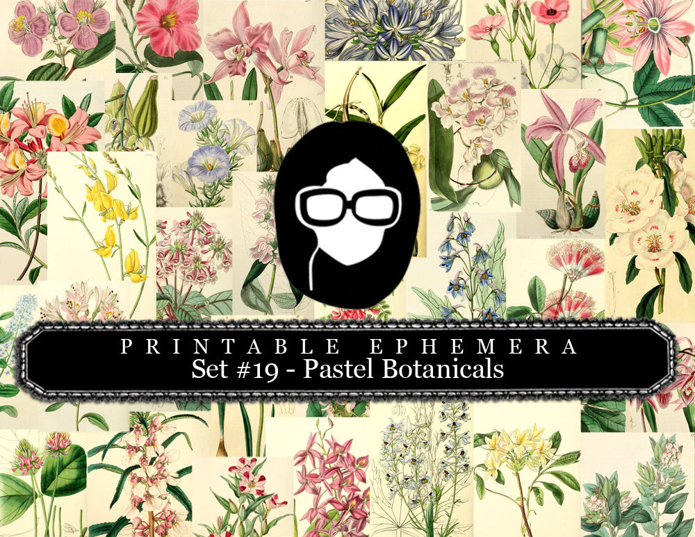 Ephemera Pack - Printable Ephemera Set # 19 - Pastel Botanicals - 30 Page Instant Download, journaling kit, journal cards, journaling card
