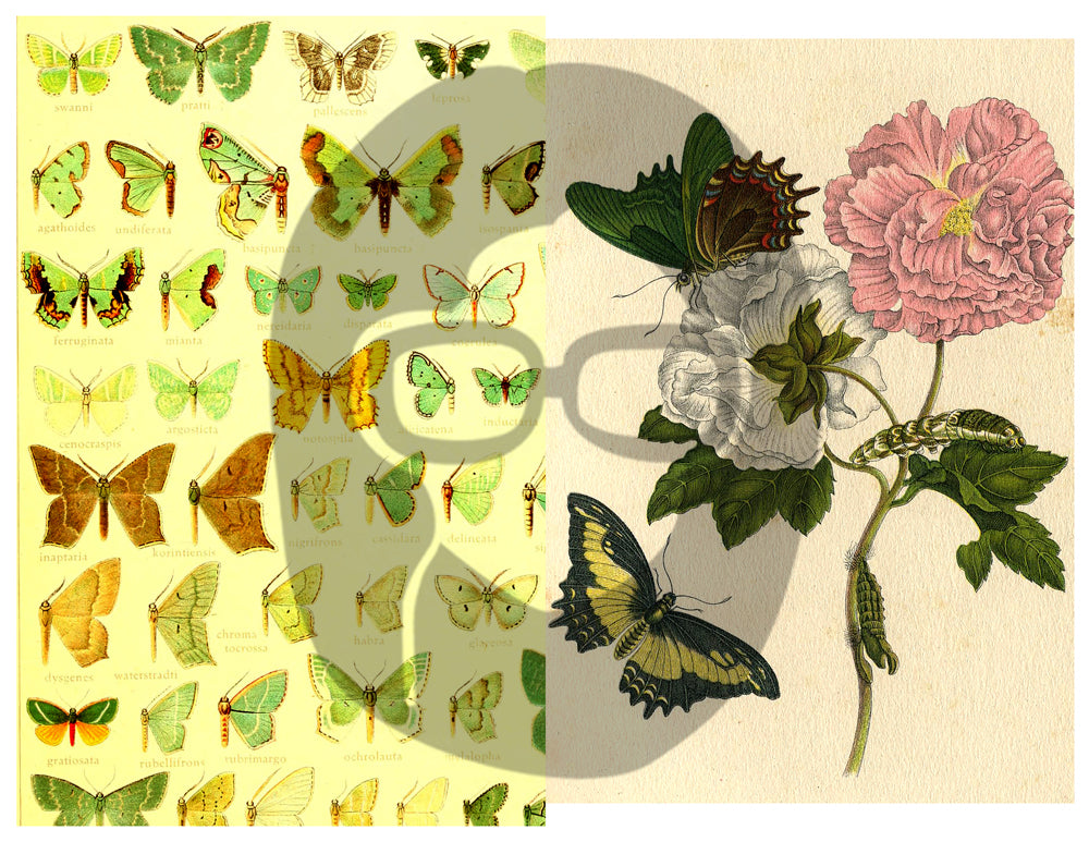Butterflies Ephemera Pack - Printable Ephemera Set #39 - 30 Page Instant Download - junk journal kit, fruit art, ephemera paper pack