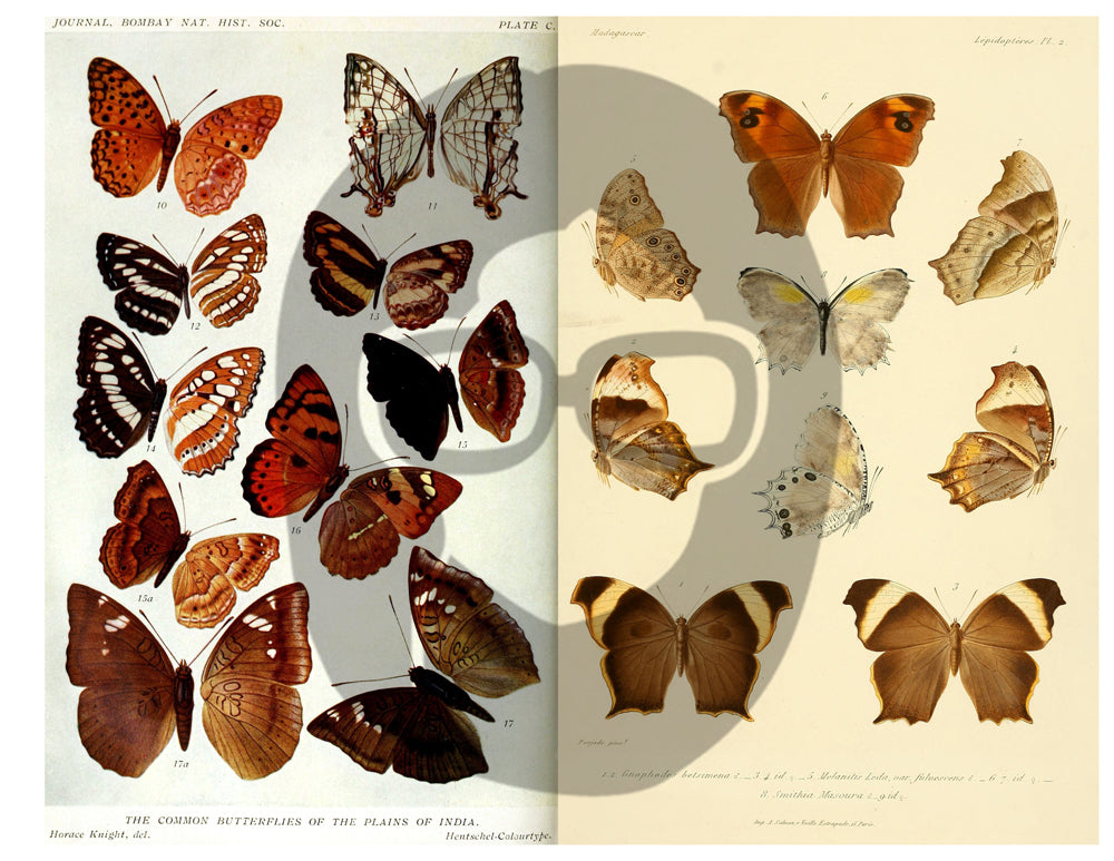 Butterflies Ephemera Pack - Printable Ephemera Set #39 - 30 Page Instant Download - junk journal kit, fruit art, ephemera paper pack