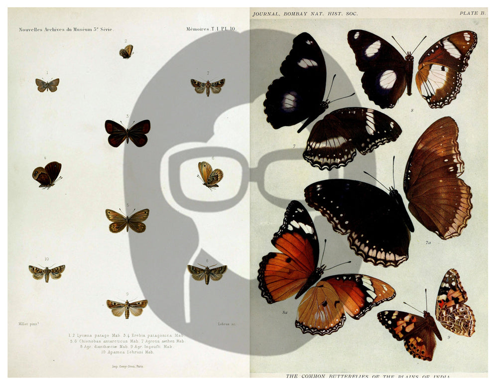 Butterflies Ephemera Pack - Printable Ephemera Set #39 - 30 Page Instant Download - junk journal kit, fruit art, ephemera paper pack