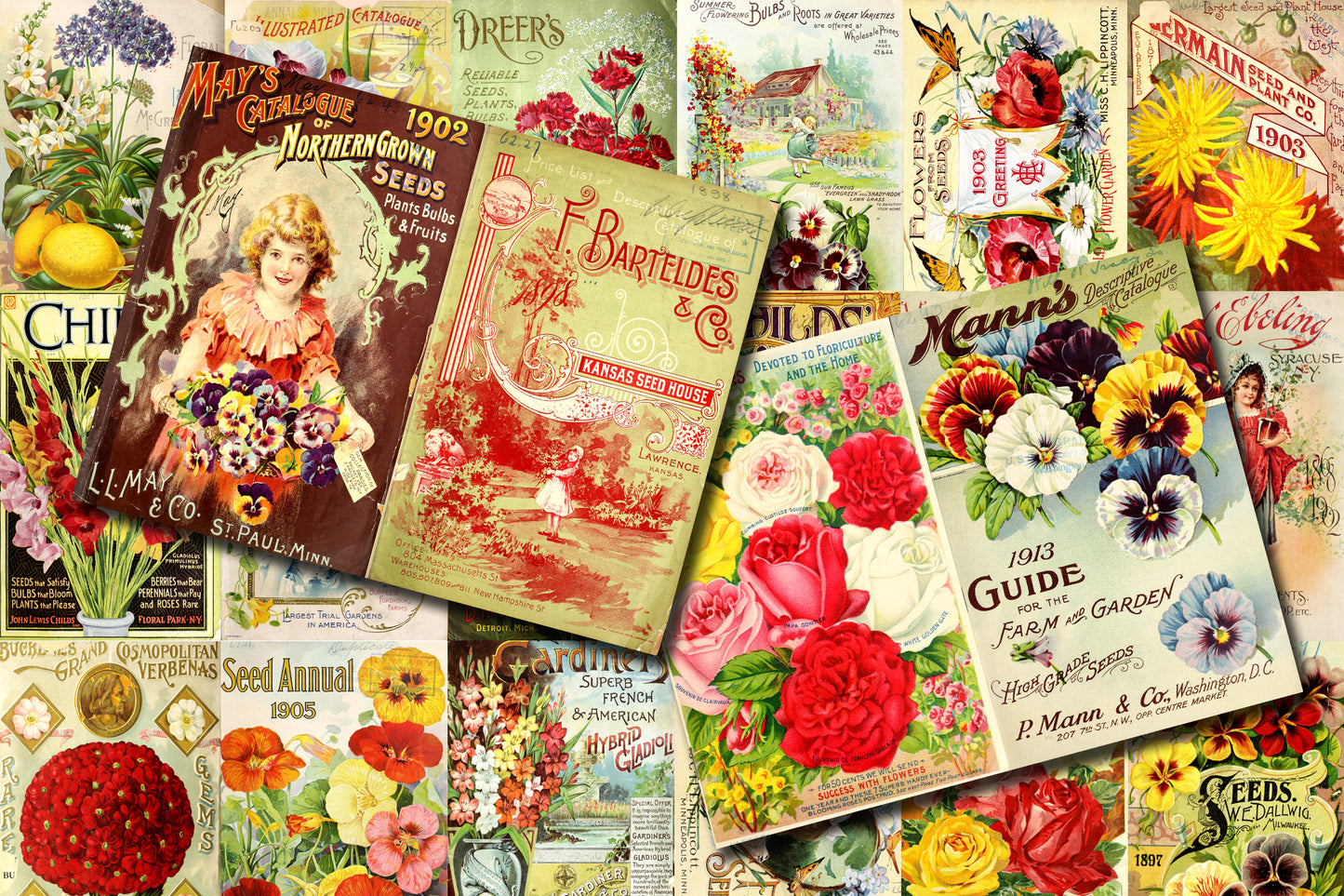 Vintage Seed Catalog Ephemera Printable Paper Pack - Set #79 - 30 Pg Instant Download - digital journal kits, roses clipart floral