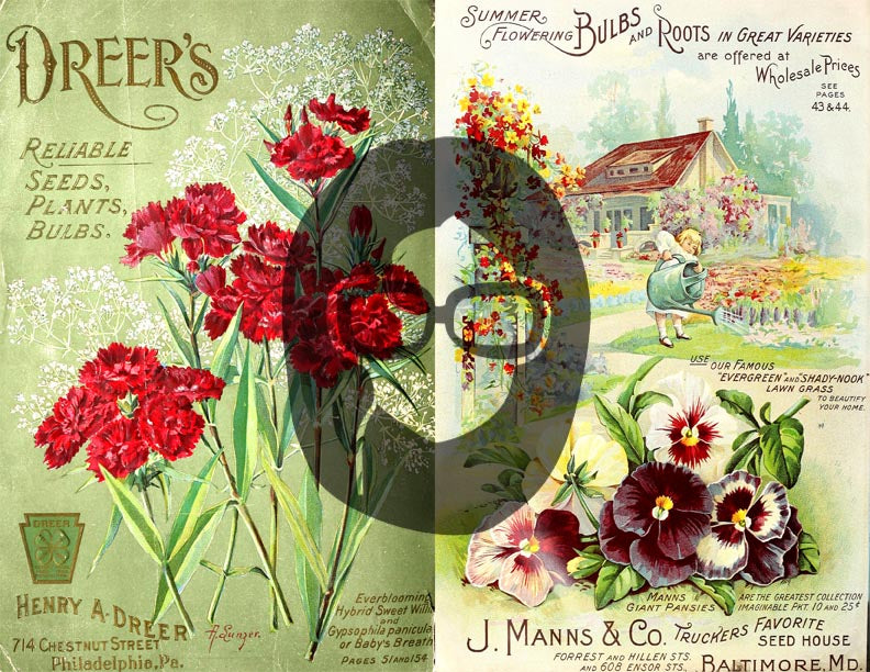 Vintage Seed Catalog Ephemera Printable Paper Pack - Set #79 - 30 Pg Instant Download - digital journal kits, roses clipart floral