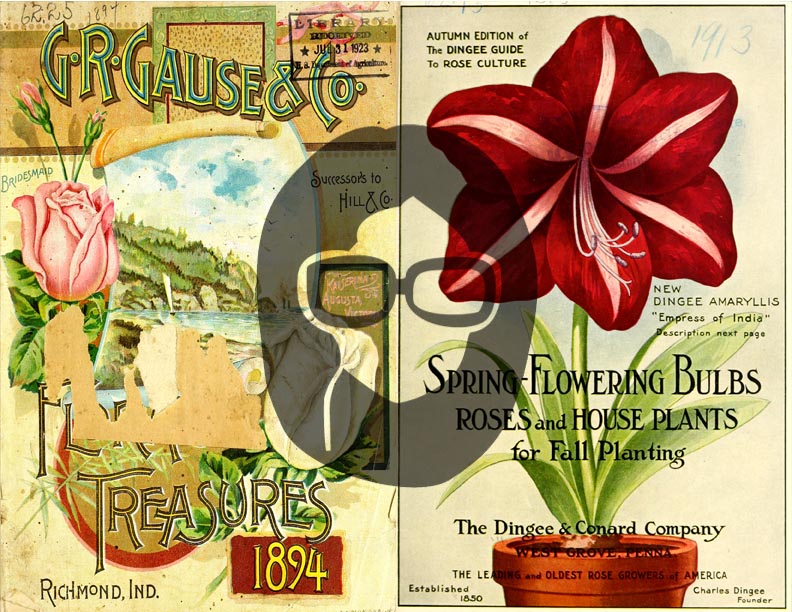 Vintage Seed Catalog Ephemera Printable Paper Pack - Set #79 - 30 Pg Instant Download - digital journal kits, roses clipart floral