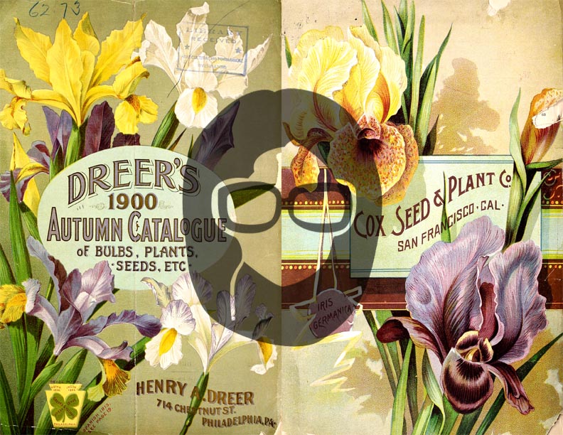 Vintage Seed Catalog Ephemera Printable Paper Pack - Set #79 - 30 Pg Instant Download - digital journal kits, roses clipart floral