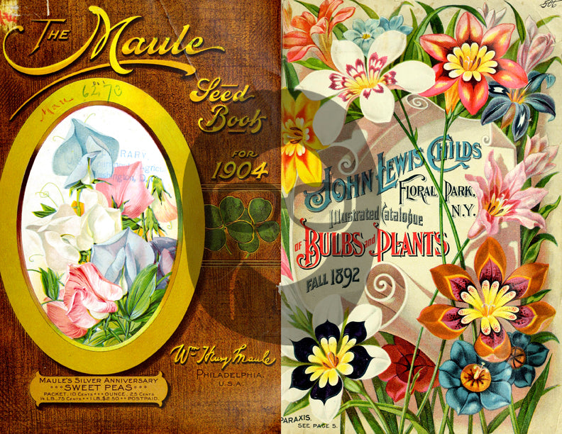 Vintage Seed Catalog Ephemera Printable Paper Pack - Set #81 - 30 Pg Instant Download - digital journal kits, roses clipart floral