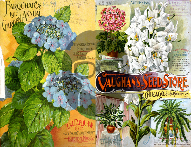 Vintage Seed Catalog Ephemera Printable Paper Pack - Set #81 - 30 Pg Instant Download - digital journal kits, roses clipart floral