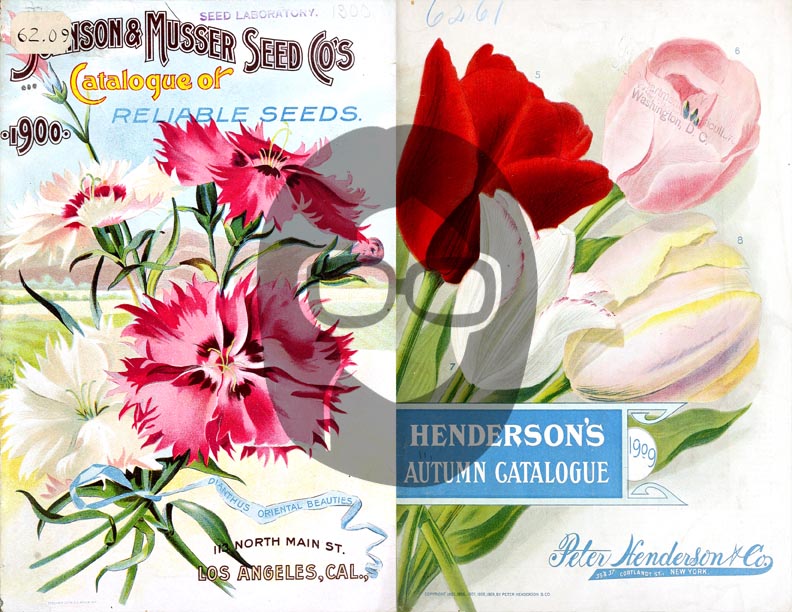 Vintage Seed Catalog Ephemera Printable Paper Pack - Set #81 - 30 Pg Instant Download - digital journal kits, roses clipart floral