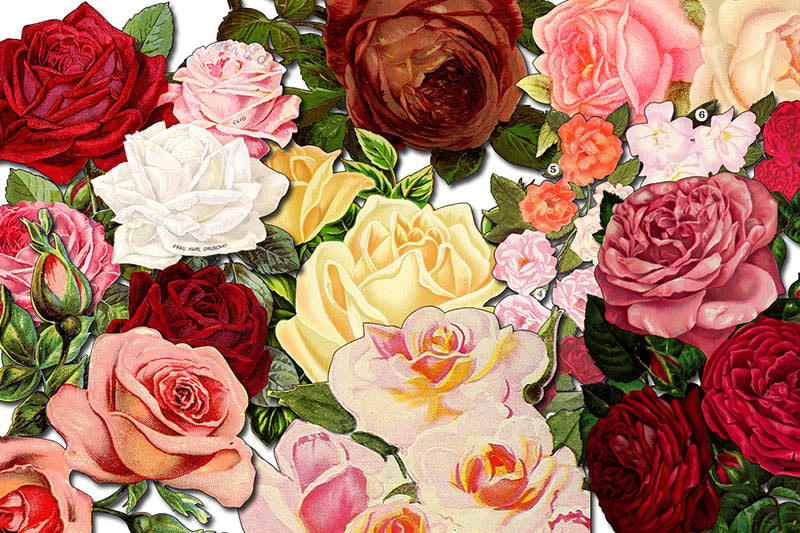 Floral Clipart - Decoupage Flowers Set #17 - 8 Page Instant Download - clipart floral, roses clipart, digital roses