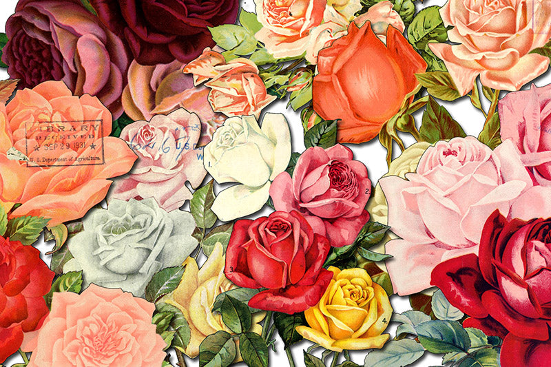 Pink Rose Clipart - Decoupage Flowers Set #20 - 7 Page Instant Download - clipart floral, roses clipart, digital floral