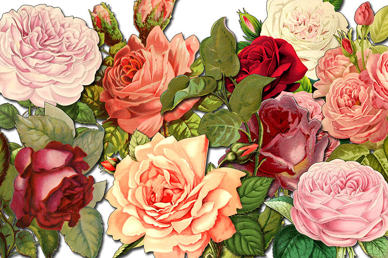 Bouquet Clipart - Decoupage Flowers Set #22 - 8 Page Instant Download - roses clipart floral, pink rose clipart, roses flower clipart