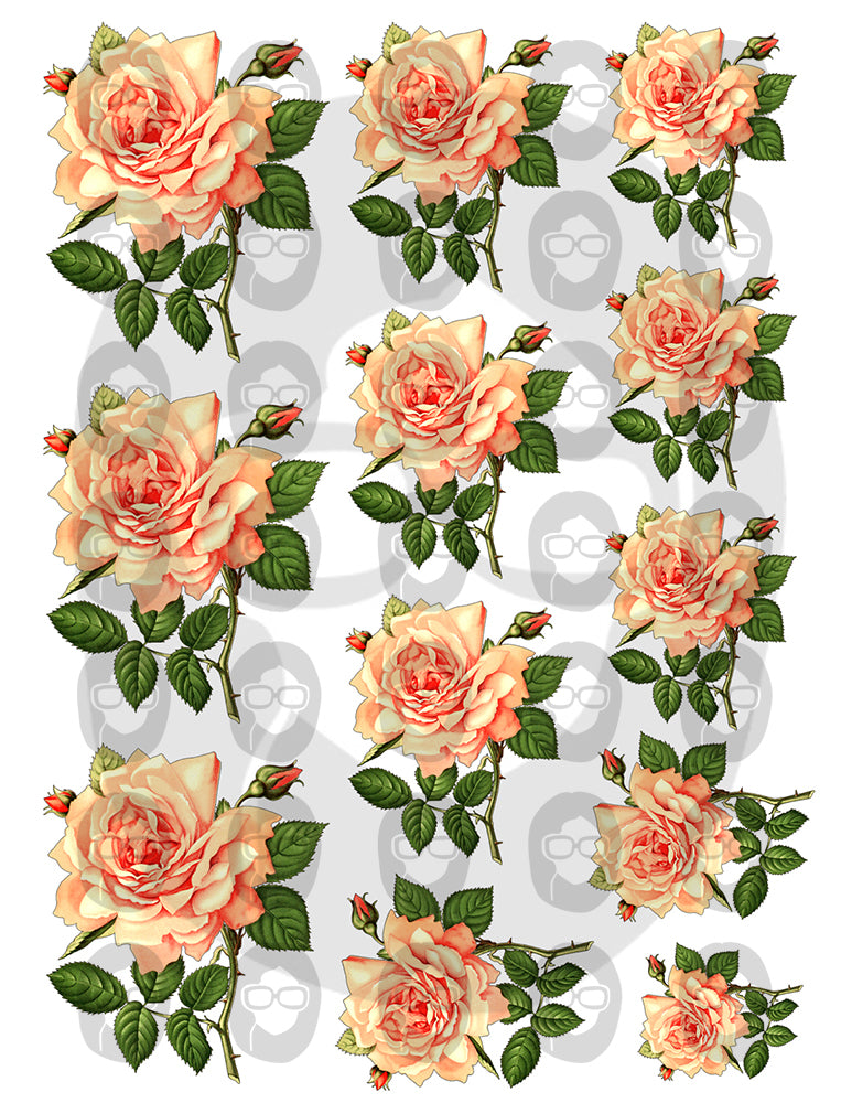Bouquet Clipart - Decoupage Flowers Set #22 - 8 Page Instant Download - roses clipart floral, pink rose clipart, roses flower clipart