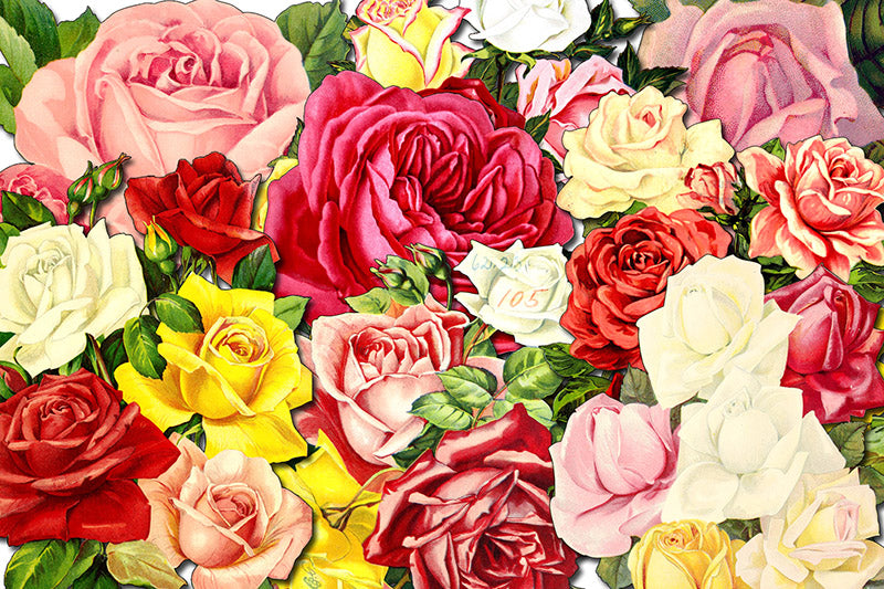Pink Rose Clipart - Decoupage Flowers Set #23 - 8 Page Instant Download - clipart floral, roses clipart, digital floral